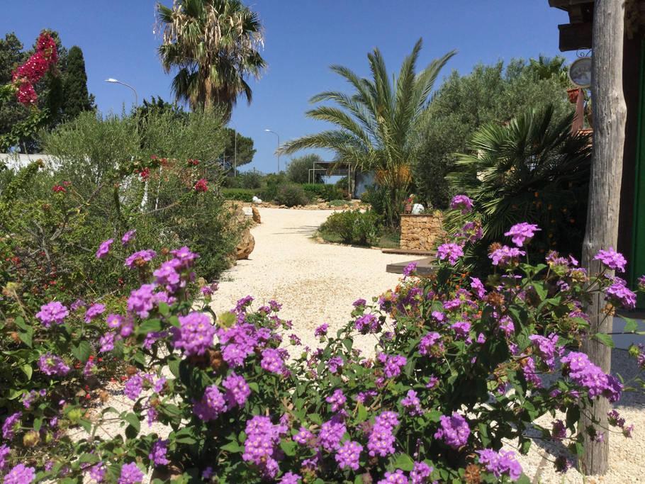 Il Colle Del Rustico Acomodação com café da manhã Agrigento Exterior foto
