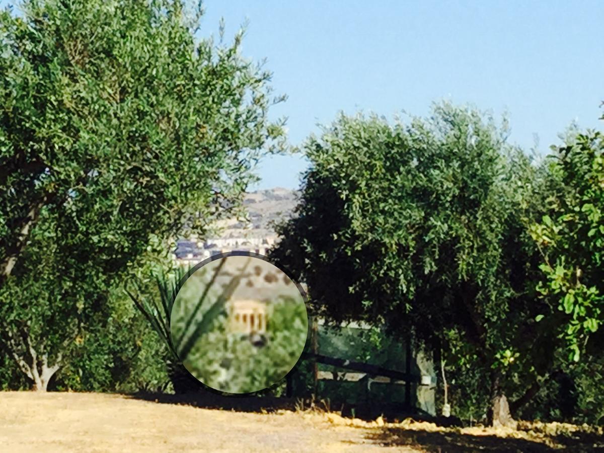 Il Colle Del Rustico Acomodação com café da manhã Agrigento Exterior foto