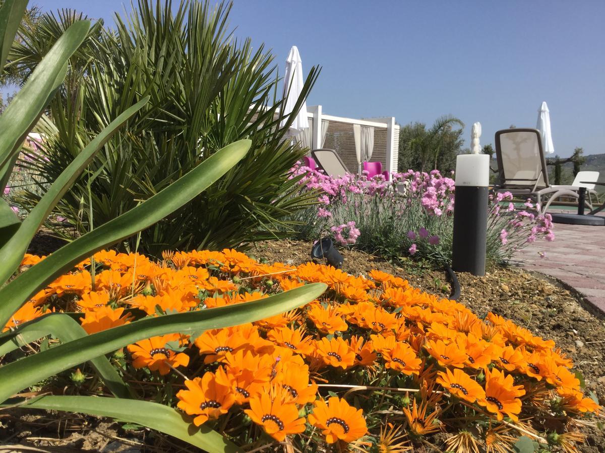 Il Colle Del Rustico Acomodação com café da manhã Agrigento Exterior foto